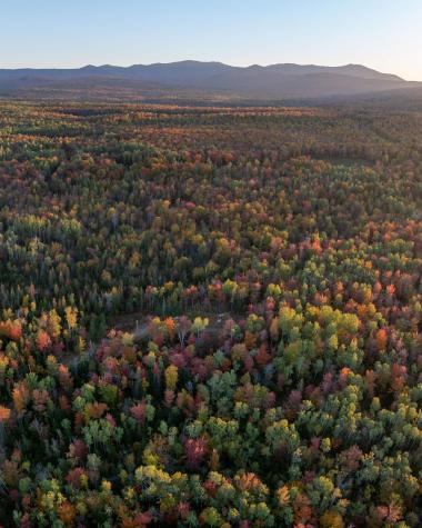 101 Center Road Madrid Twp ME 04966