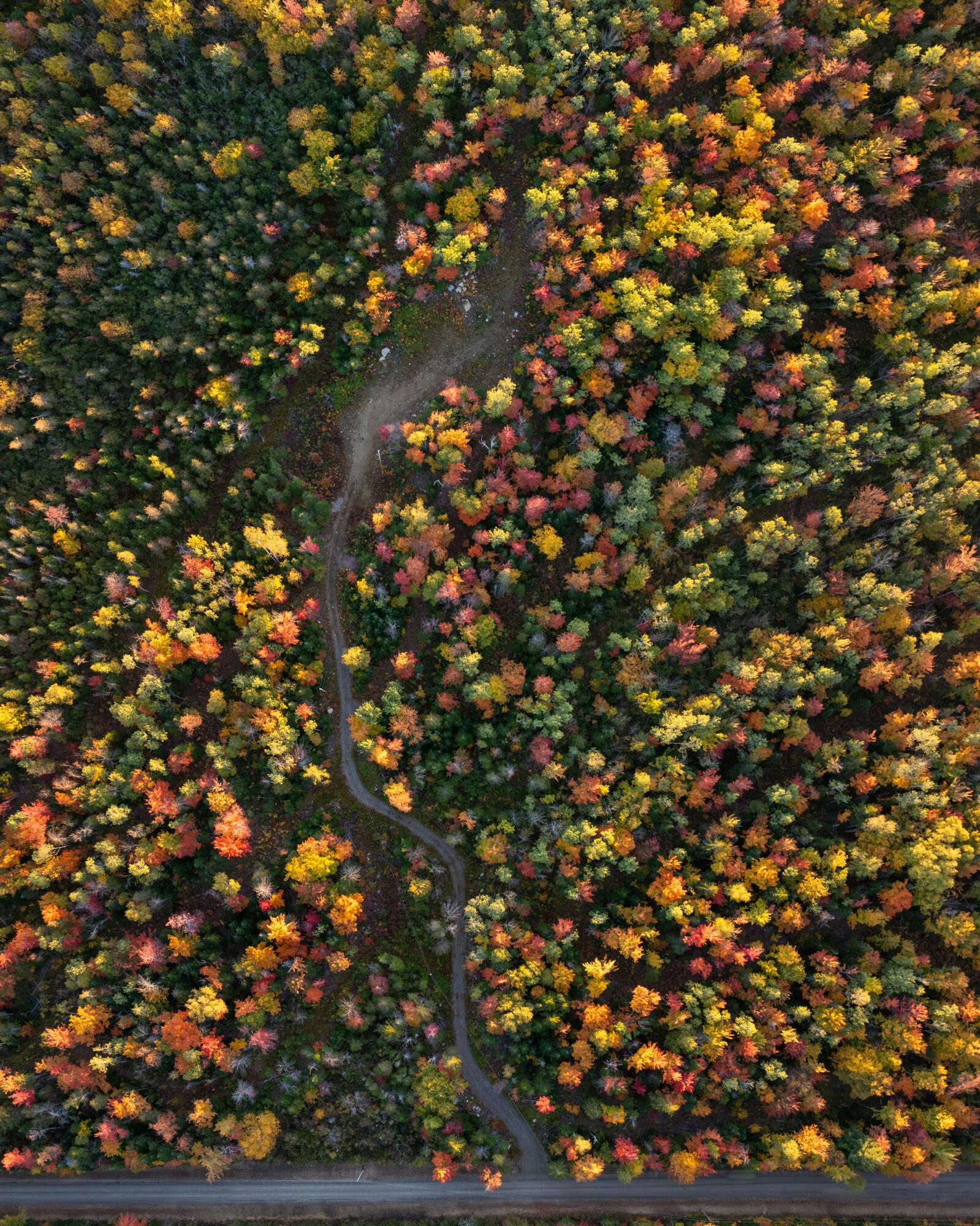 101 Center Road Madrid Twp ME 04966