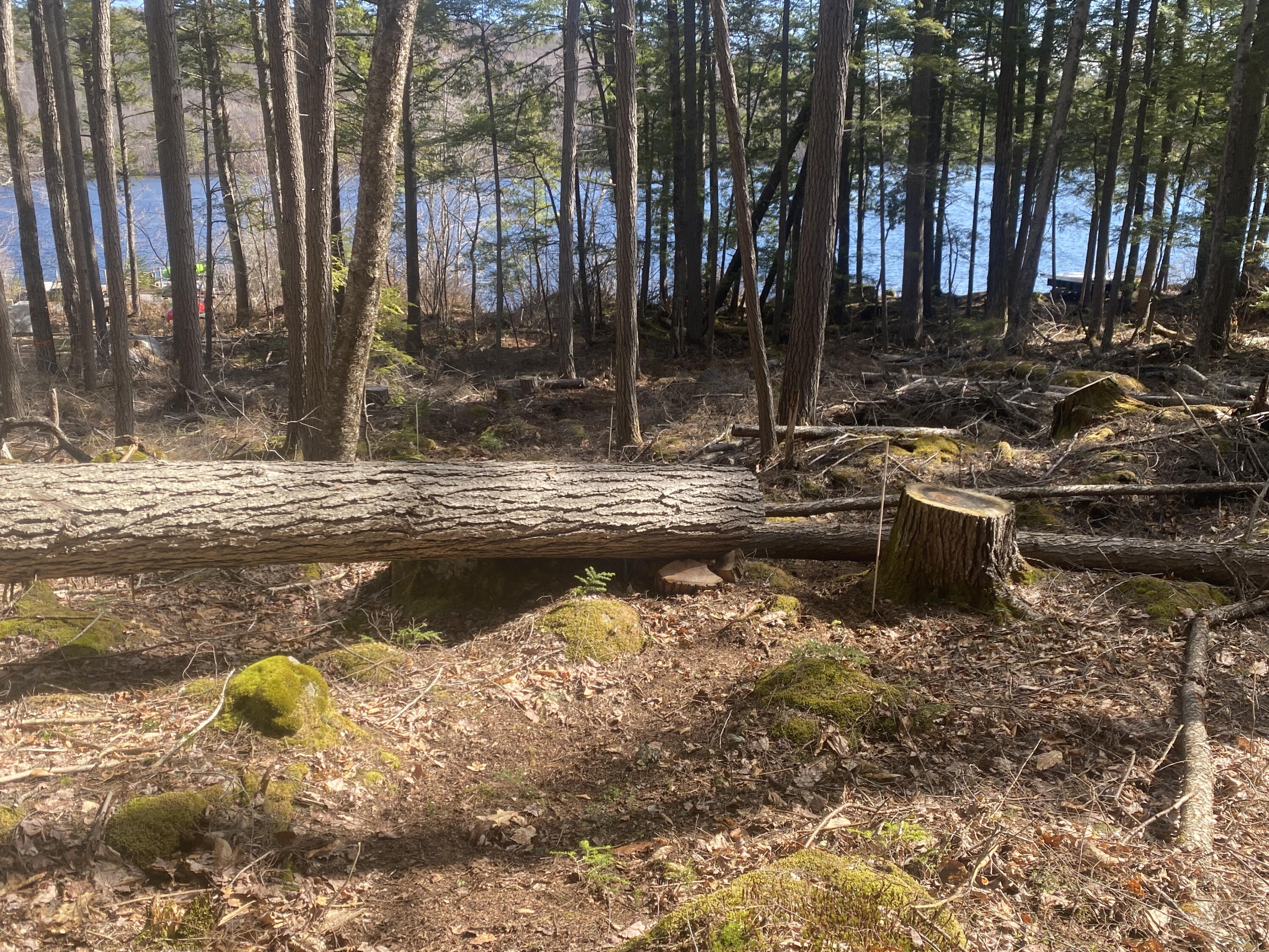 89 Valhalla Lane Norway ME 04268