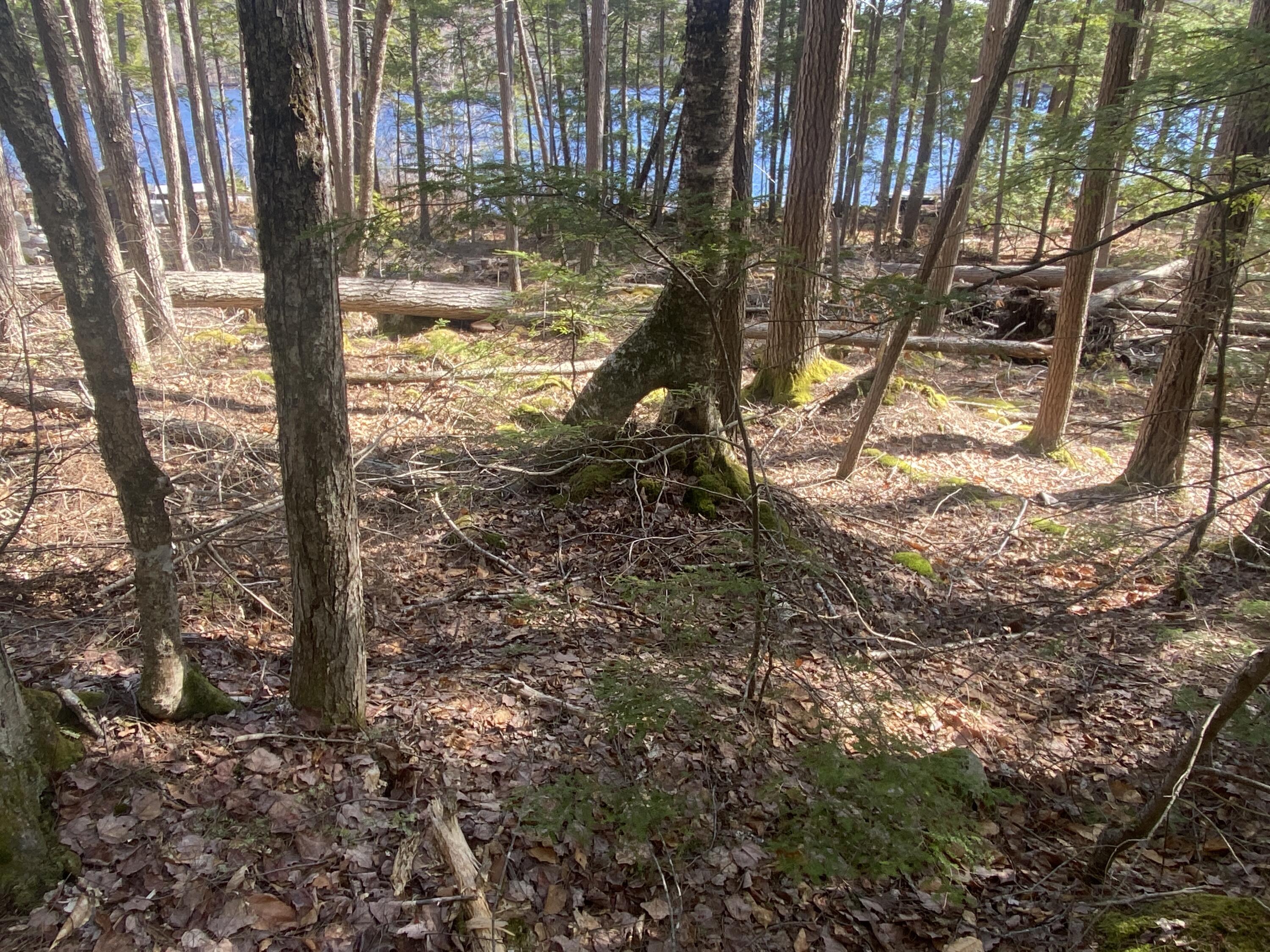 89 Valhalla Lane Norway ME 04268