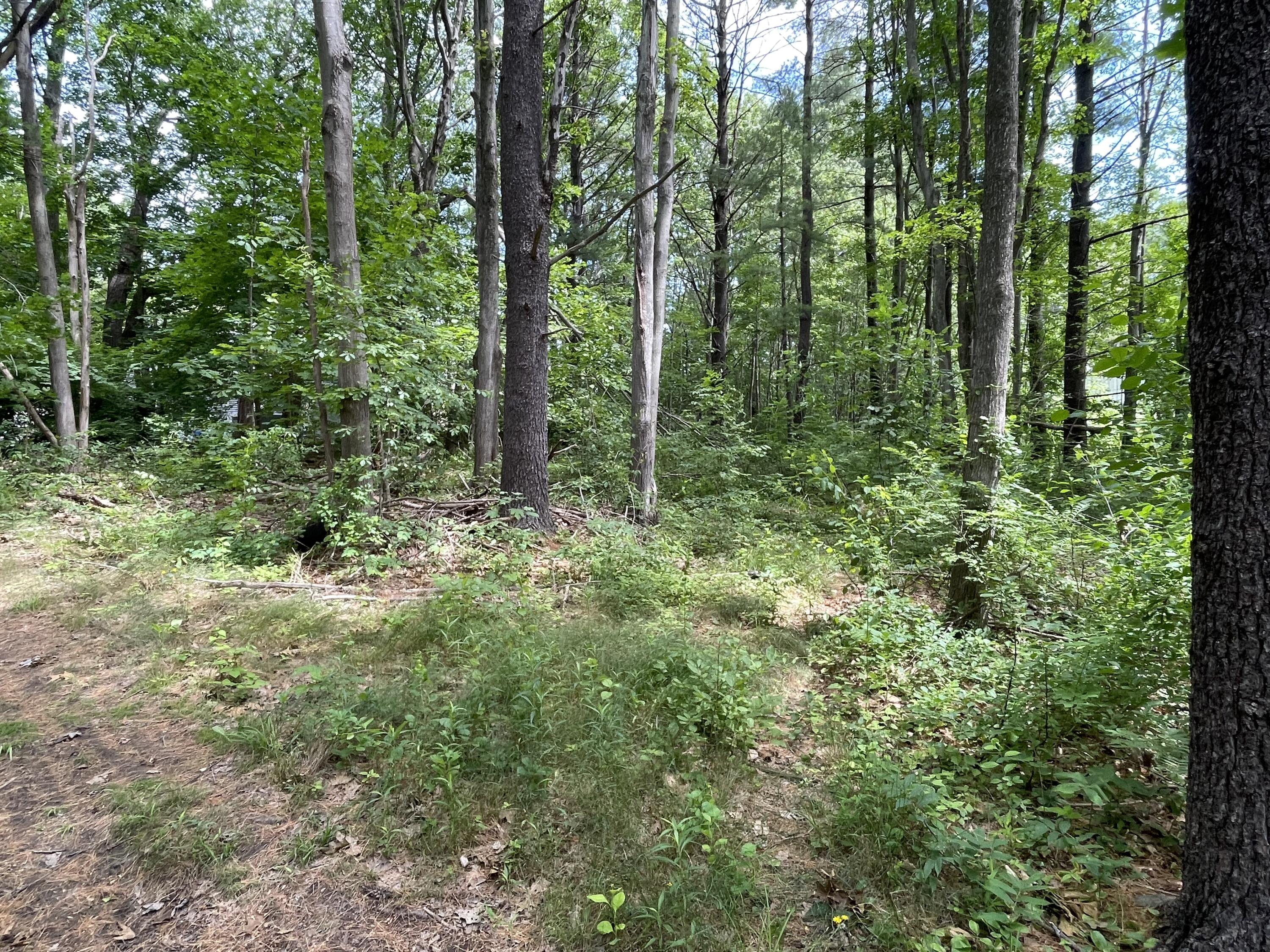 97 Warren Avenue Portland ME 04103