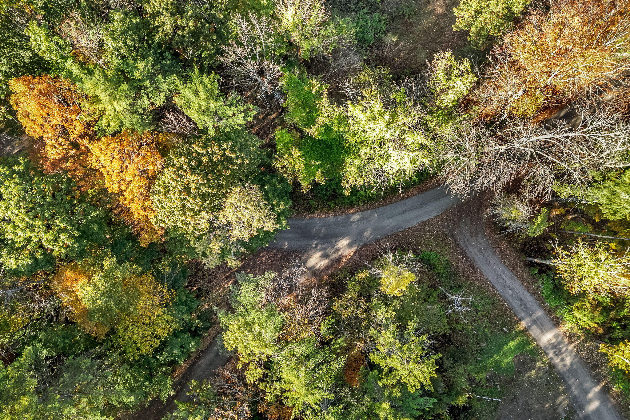 Lot 55 S Birchwood Lane Winthrop ME 04364