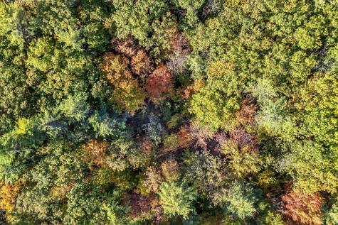Lot 55 S Birchwood Lane Winthrop ME 04364