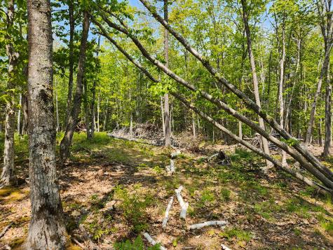 Lot 2 Woodland Drive Kennebunkport ME 04046