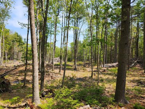 Lot 2 Woodland Drive Kennebunkport ME 04046