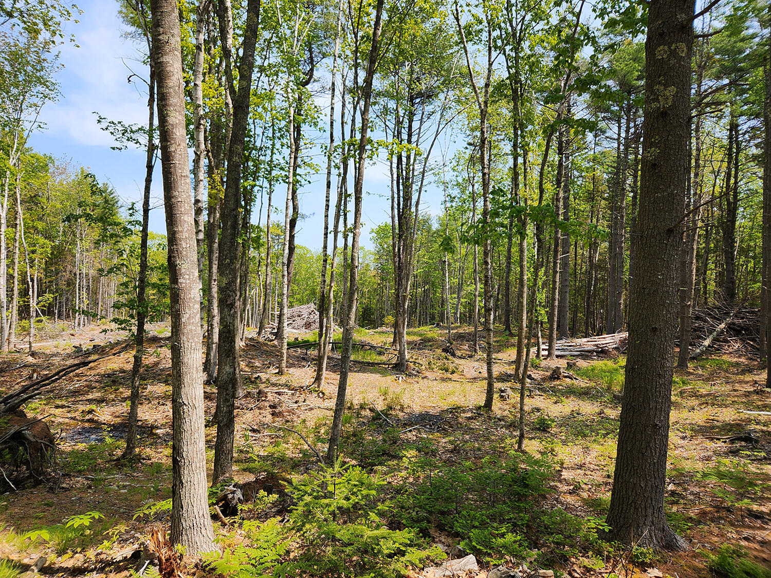 Lot 2 Woodland Drive Kennebunkport ME 04046