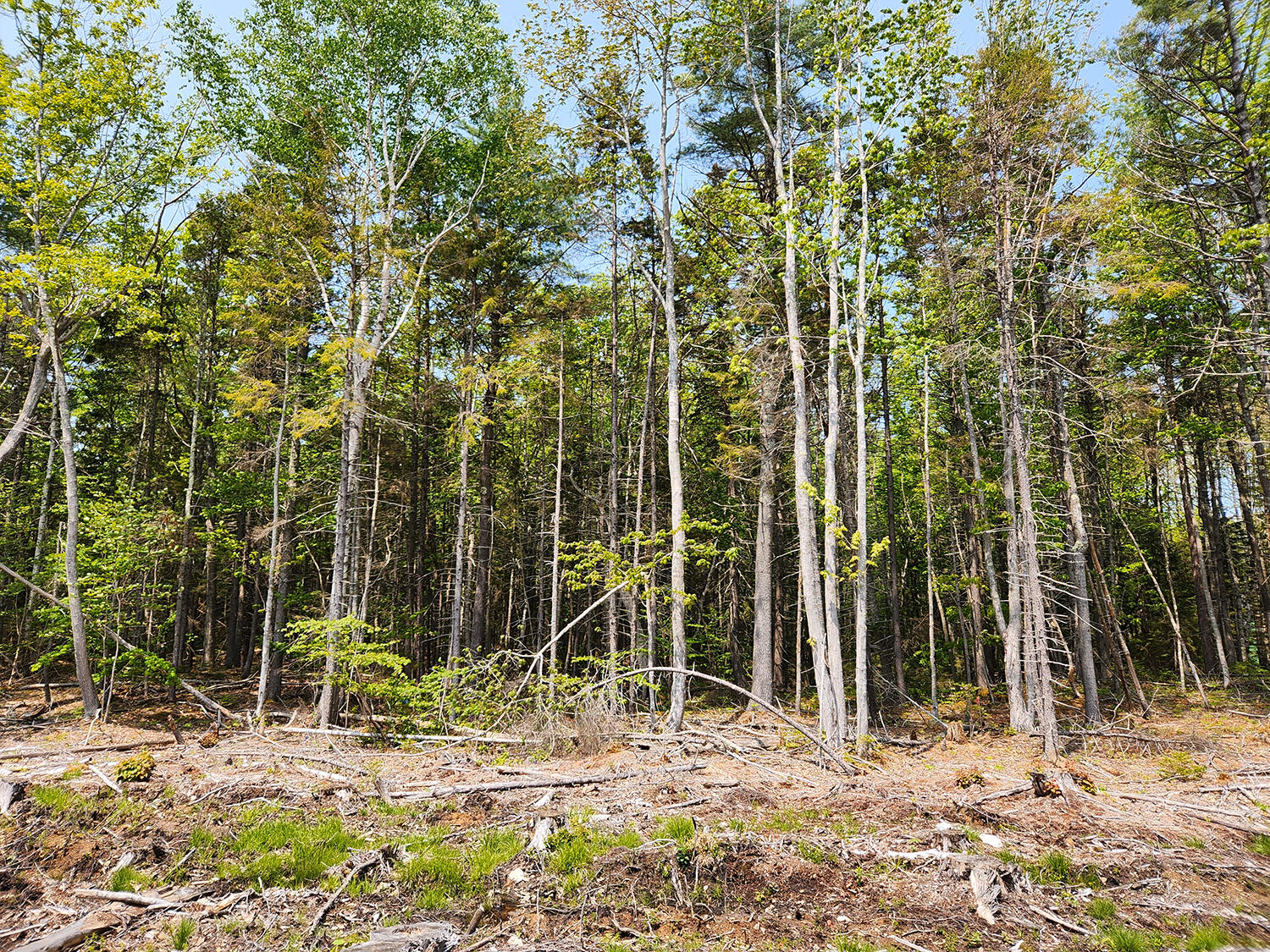 Lot 2 Woodland Drive Kennebunkport ME 04046