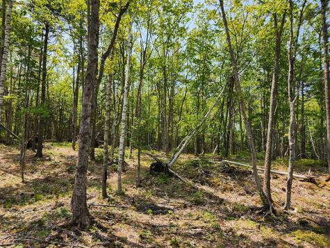 Lot 2 Woodland Drive Kennebunkport ME 04046