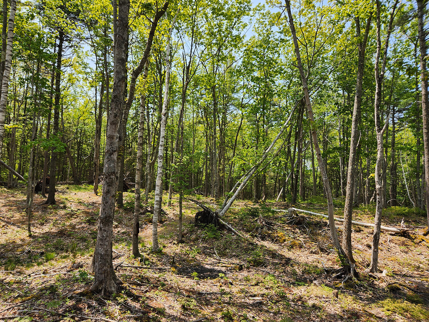 Lot 2 Woodland Drive Kennebunkport ME 04046