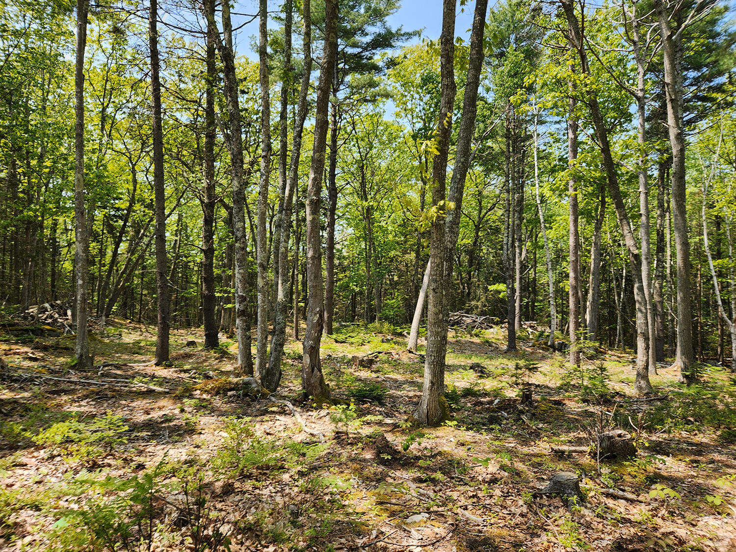 Lot 2 Woodland Drive Kennebunkport ME 04046