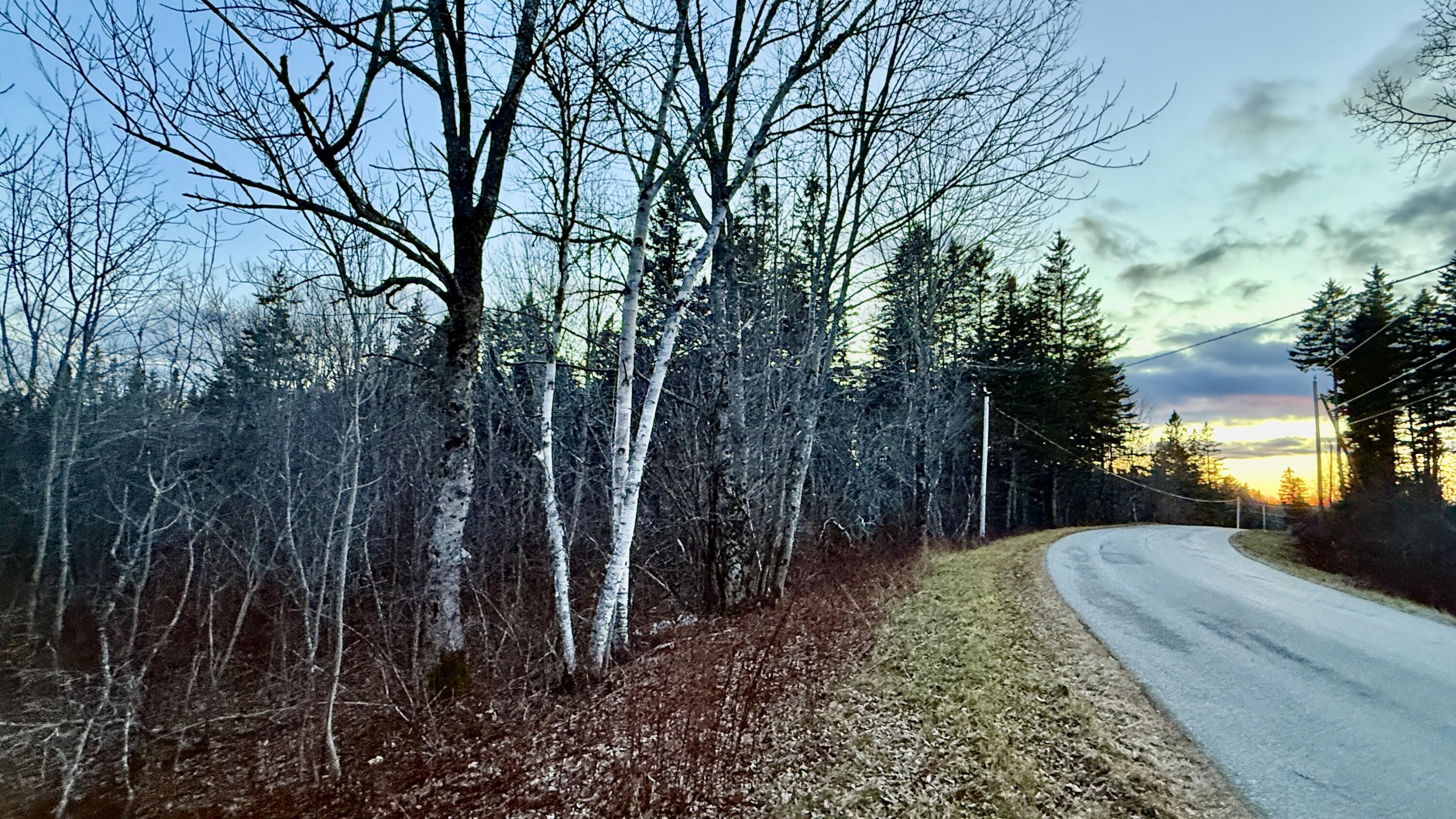 28.4 Wilcox Road Trescott Twp ME 04652