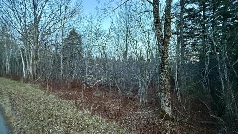 28.4 Wilcox Road Trescott Twp ME 04652