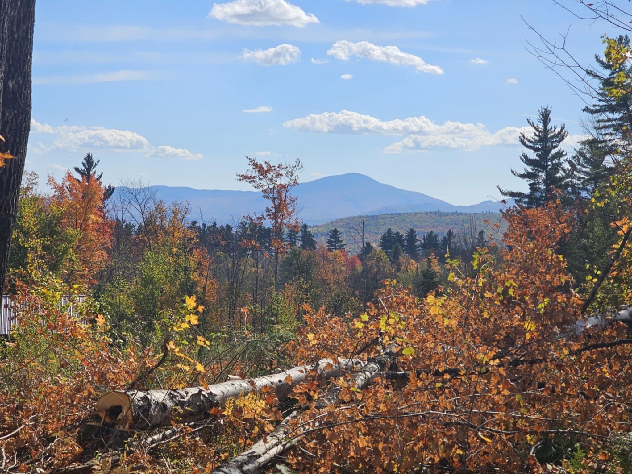 Map 5 Lot 26 & 26.1 Bray Hill Road Phillips ME 04966