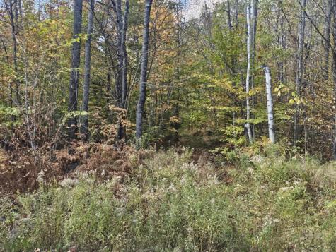 Map 5 Lot 26 & 26.1 Bray Hill Road Phillips ME 04966