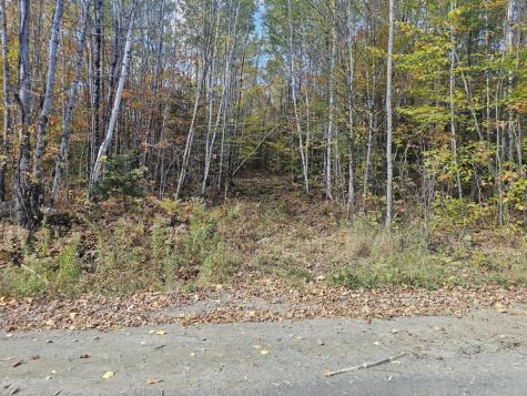 Map 5 Lot 26 & 26.1 Bray Hill Road Phillips ME 04966