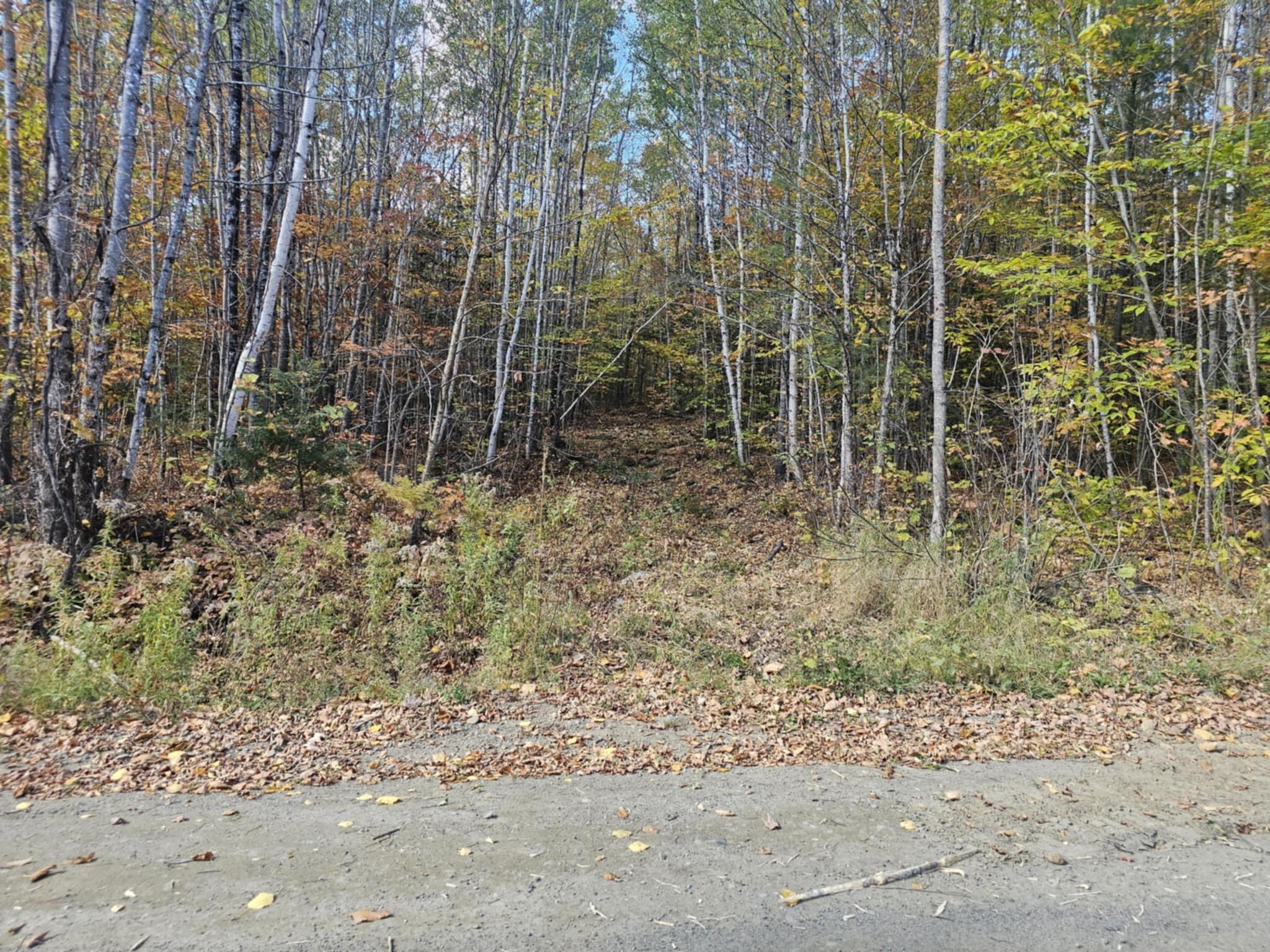 Map 5 Lot 26 & 26.1 Bray Hill Road Phillips ME 04966