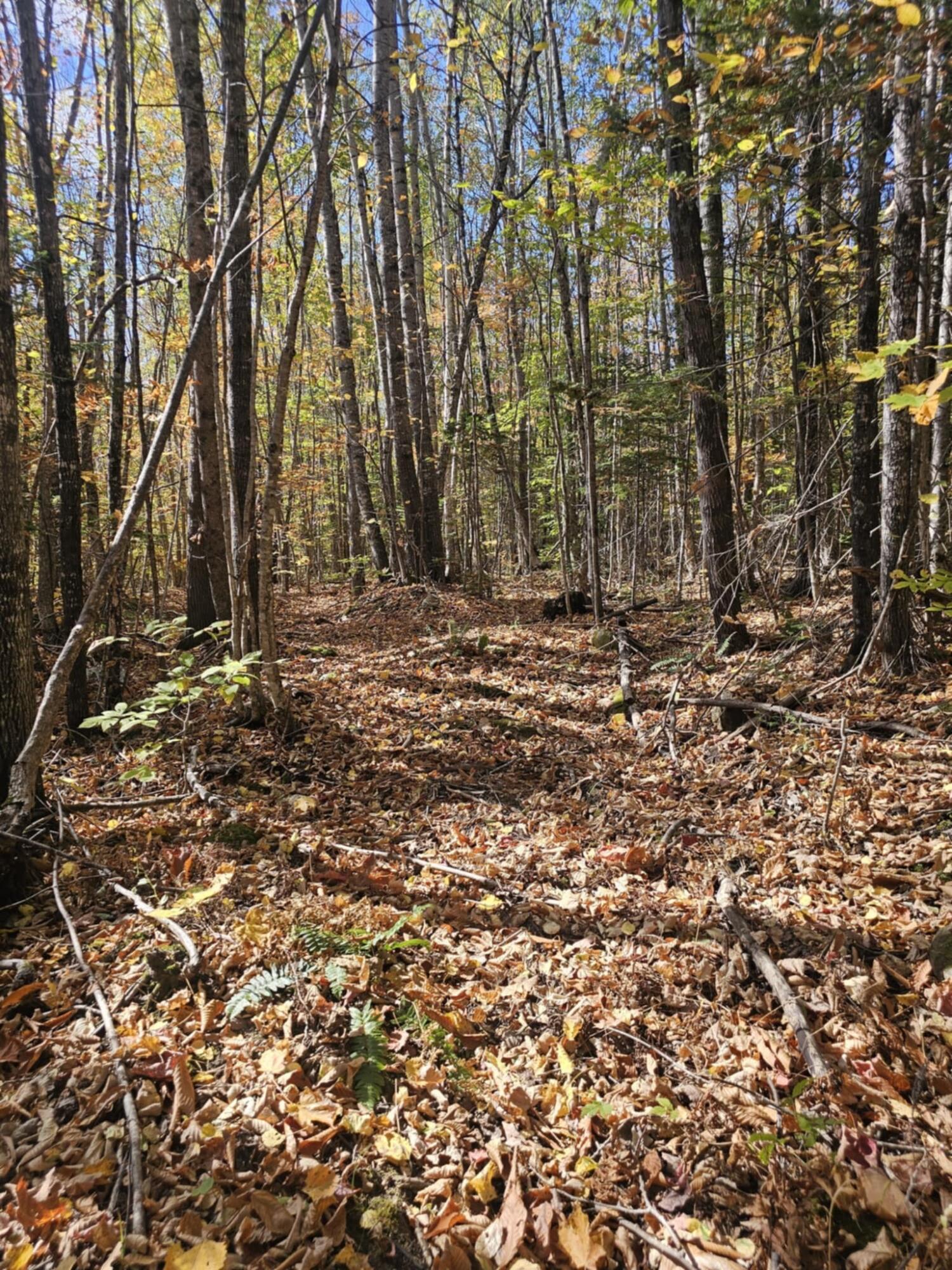 Map 5 Lot 26 & 26.1 Bray Hill Road Phillips ME 04966