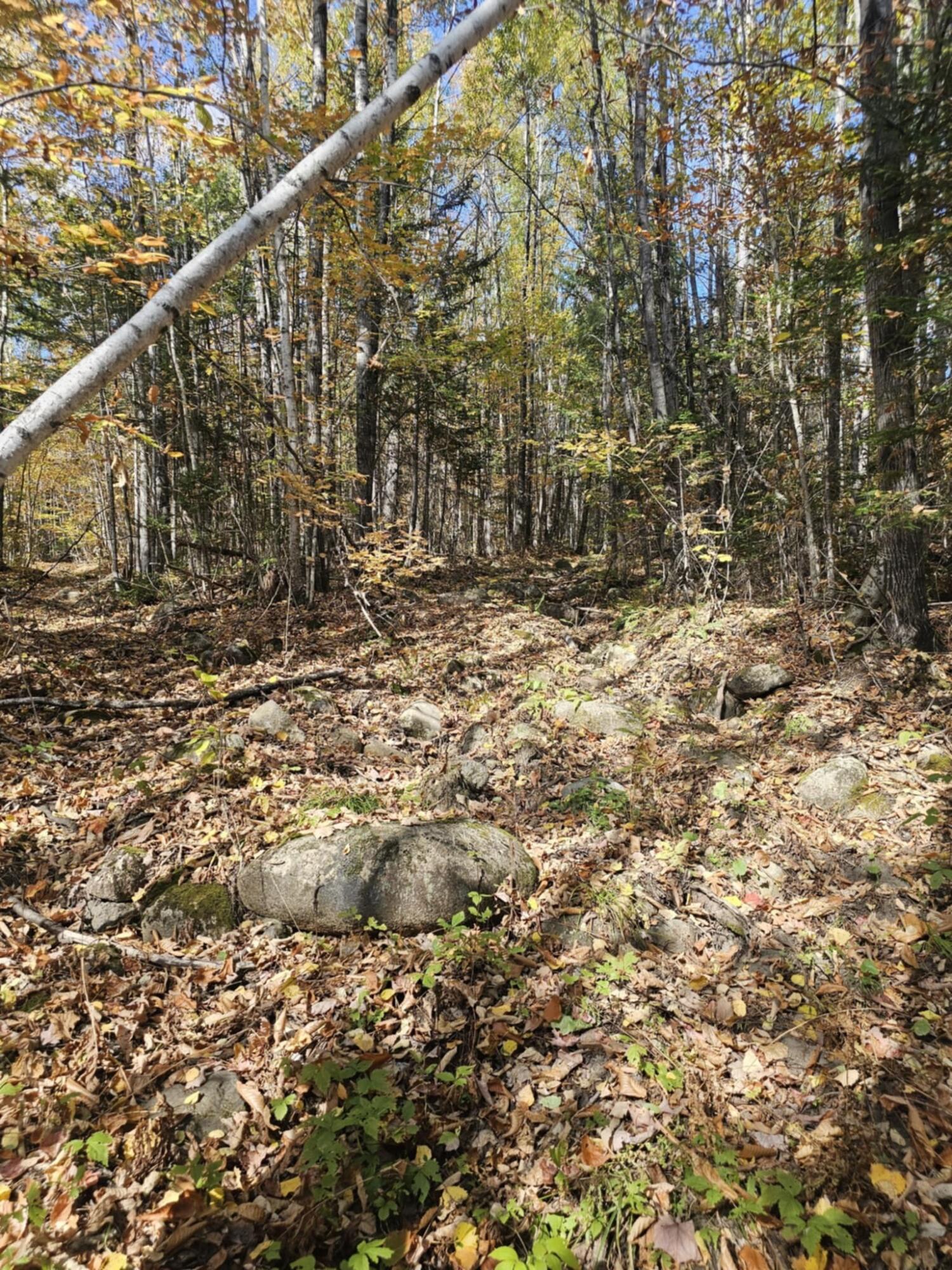 Map 5 Lot 26 & 26.1 Bray Hill Road Phillips ME 04966