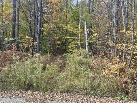 Map 5 Lot 26 & 26.1 Bray Hill Road Phillips ME 04966