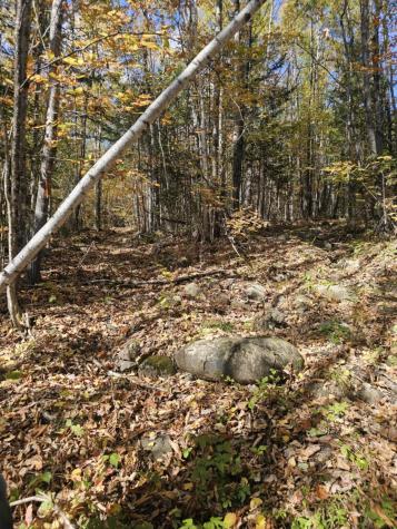 Map 5 Lot 26 & 26.1 Bray Hill Road Phillips ME 04966