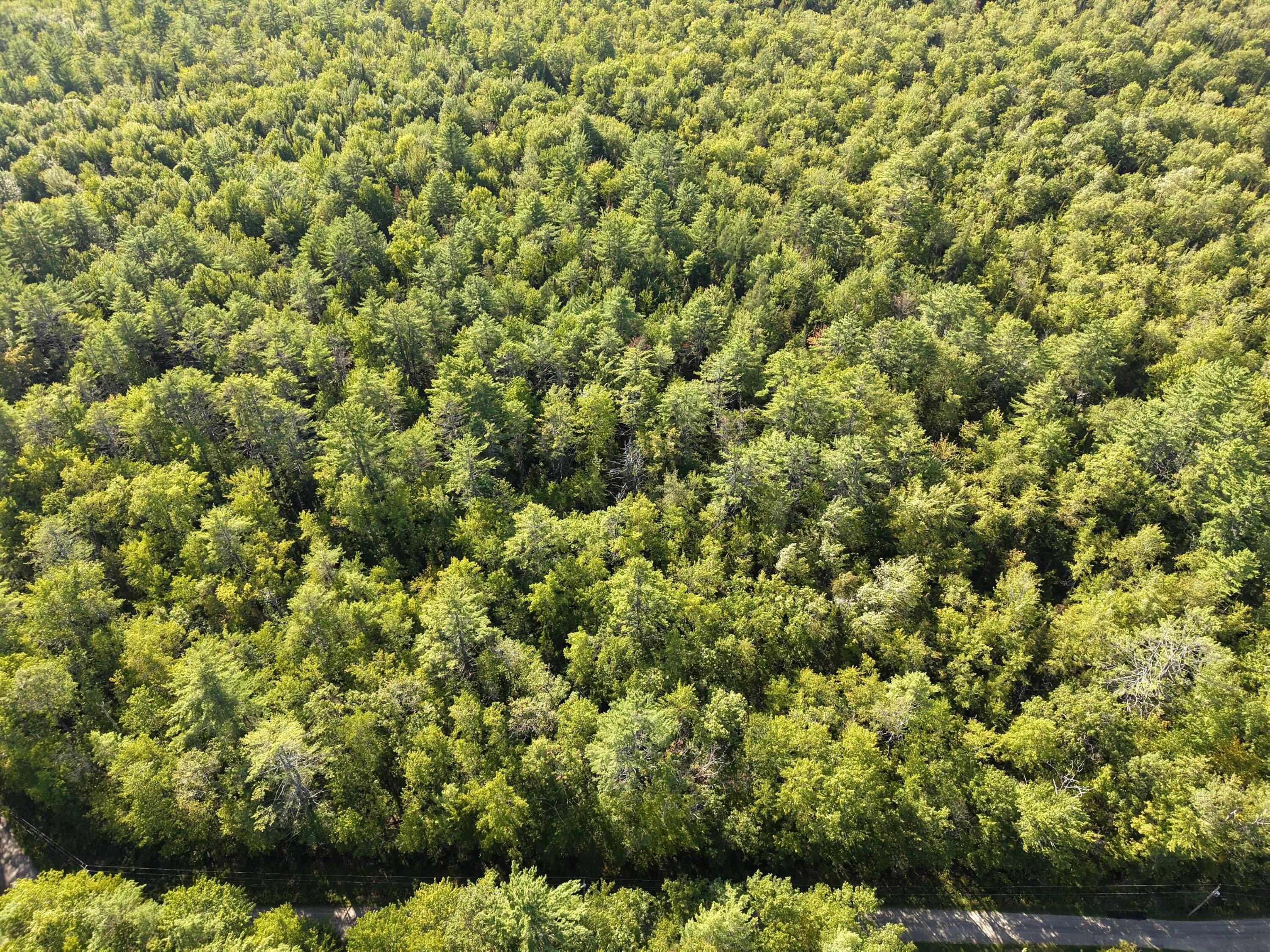Lot 9-18 Deer Run Mount Vernon ME 04352