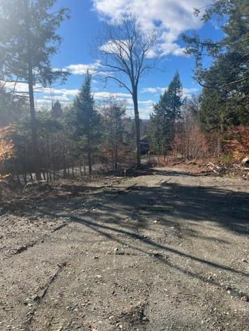 Lot 5 Peterson Road Bowerbank ME 04426
