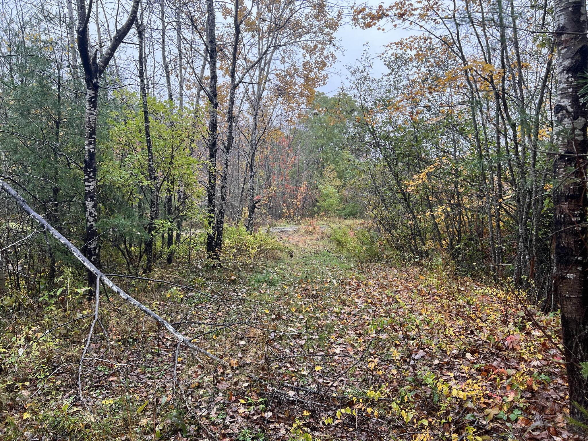 Tbd Lot Norway Road Waterford ME 04088