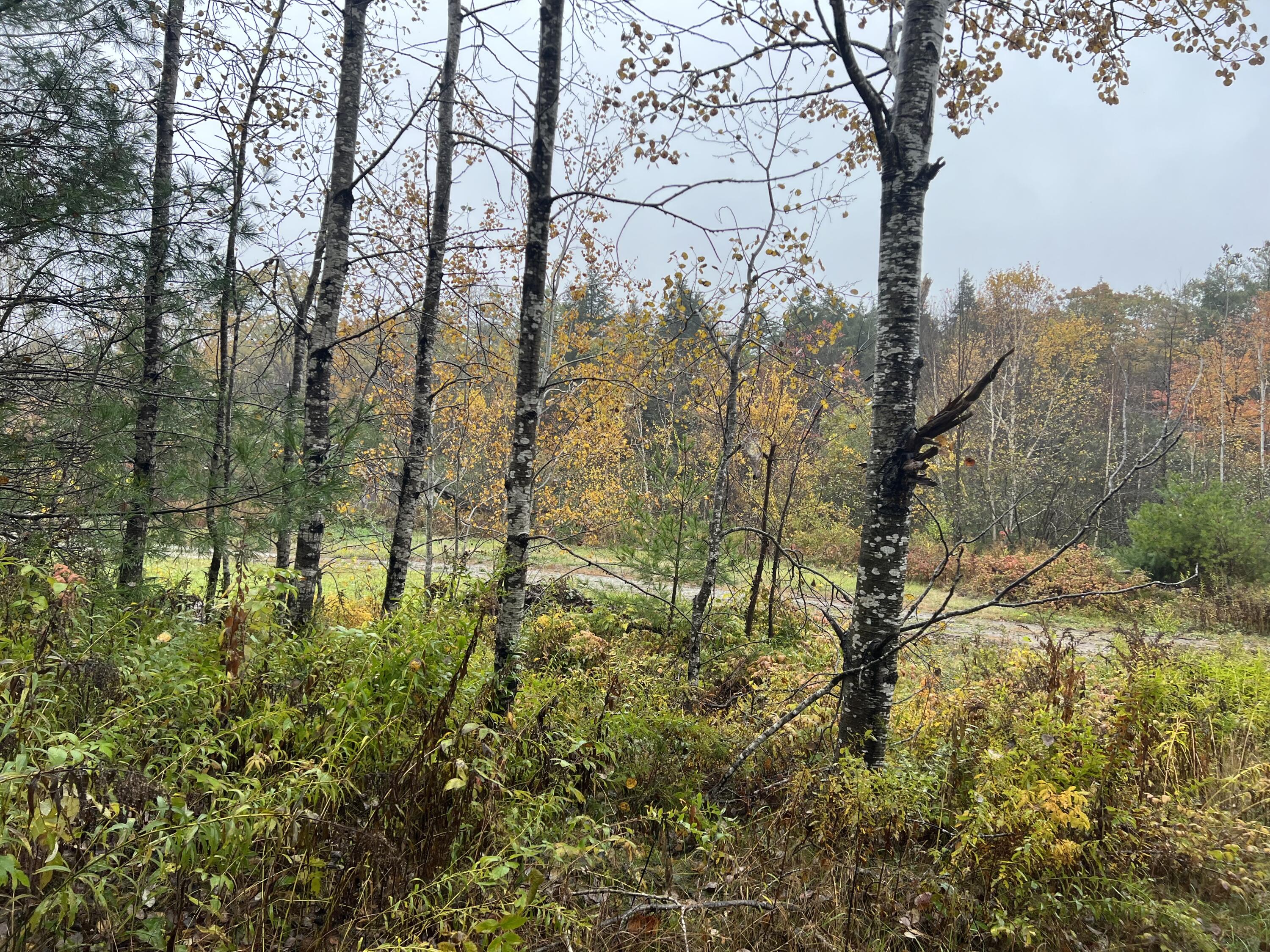 Tbd Lot Norway Road Waterford ME 04088