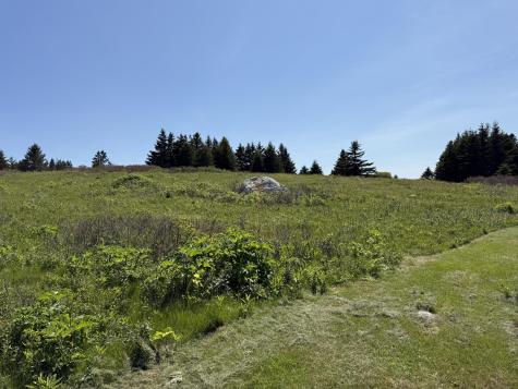 2 Bar Island Tremont ME 04612