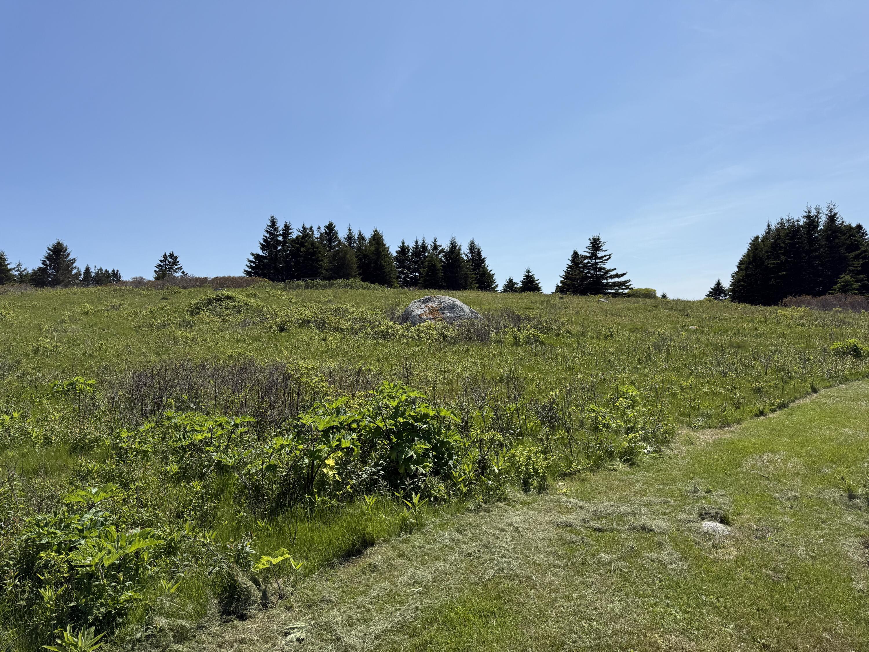 2 Bar Island Tremont ME 04612