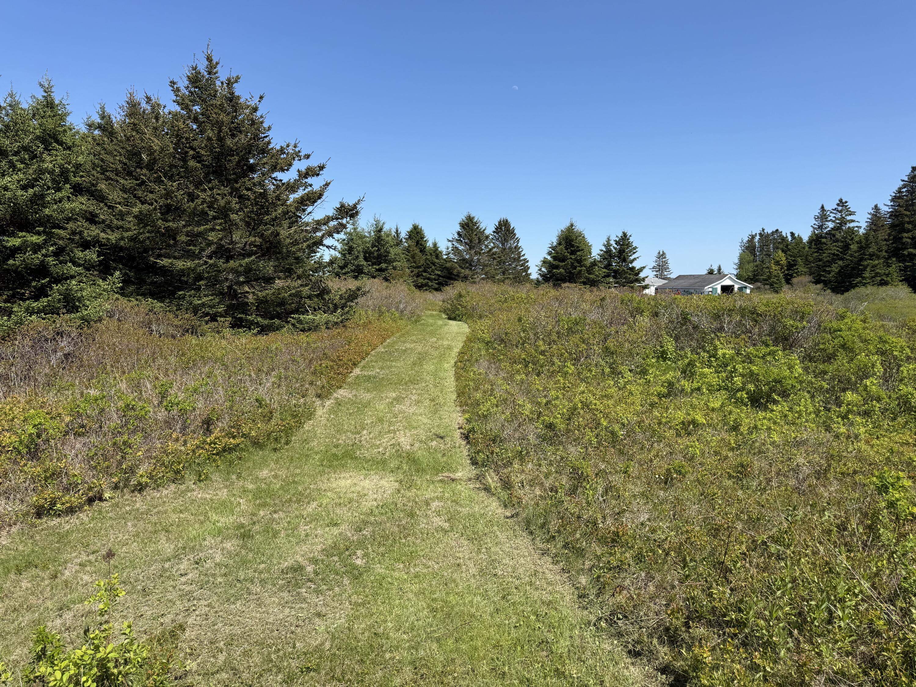 2 Bar Island Tremont ME 04612