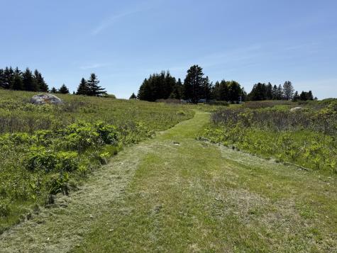 2 Bar Island Tremont ME 04612