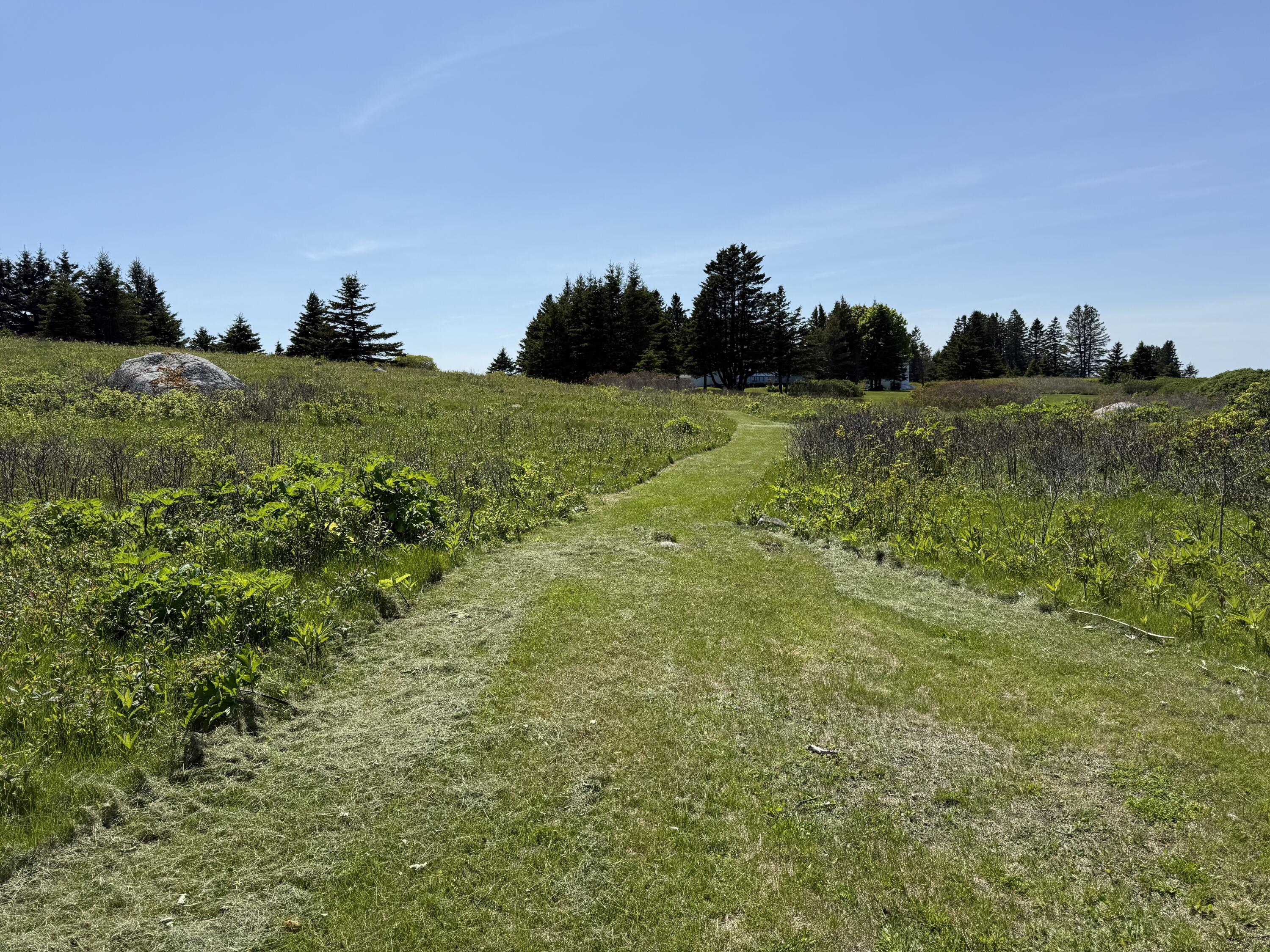 2 Bar Island Tremont ME 04612