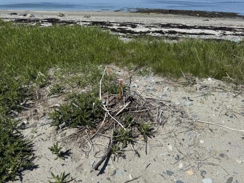 2 Bar Island Tremont ME 04612