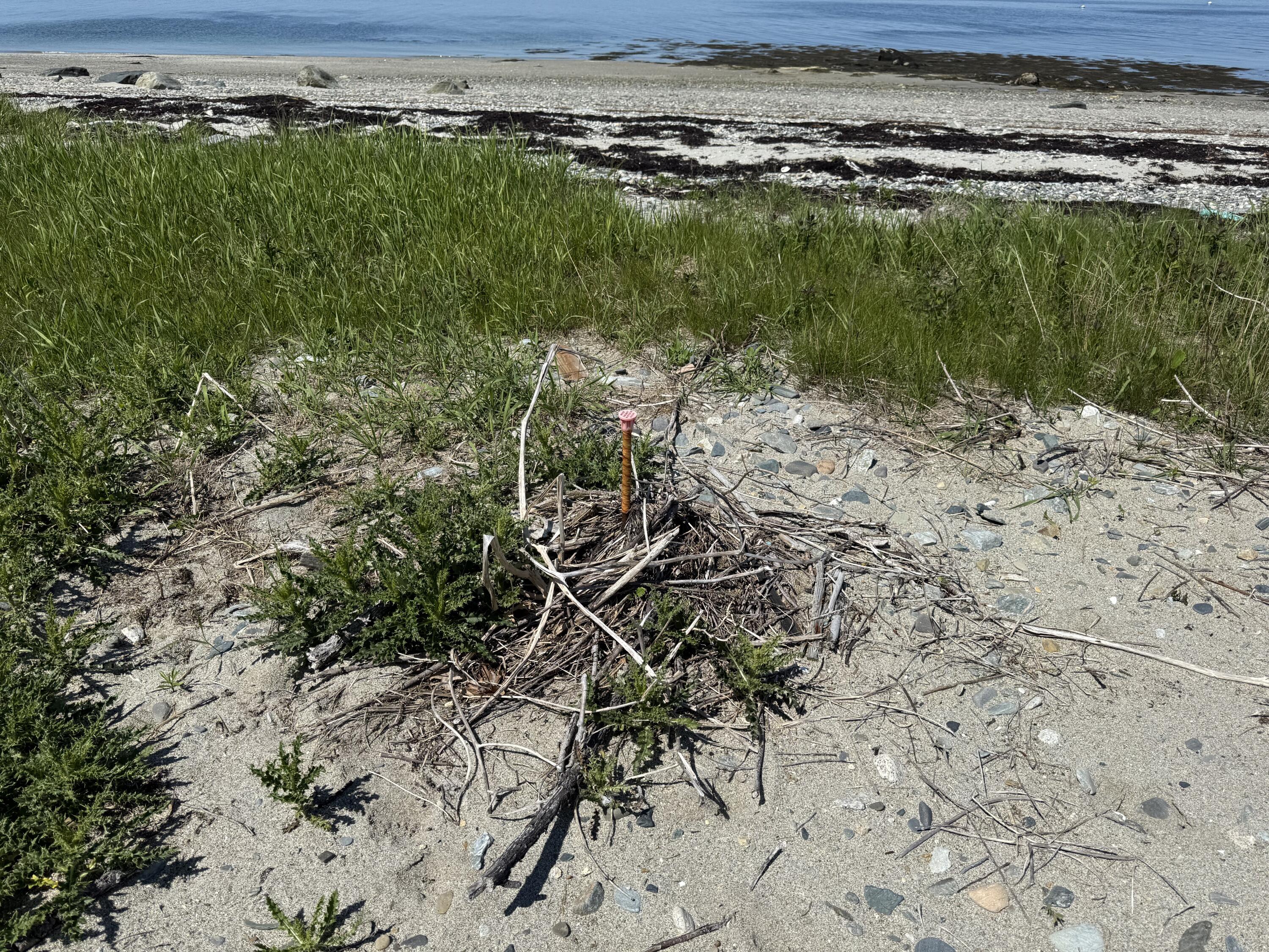 2 Bar Island Tremont ME 04612