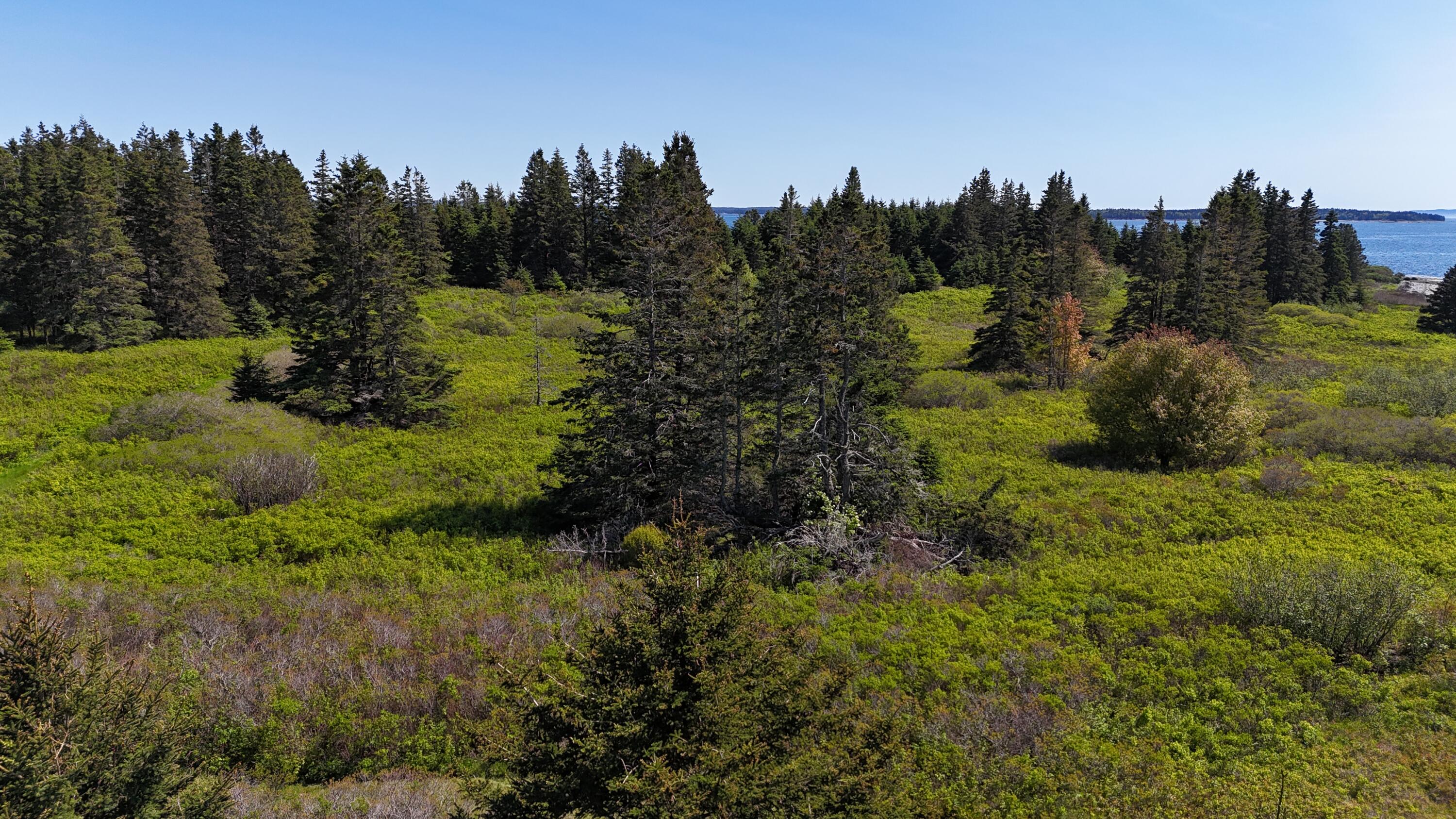 2 Bar Island Tremont ME 04612