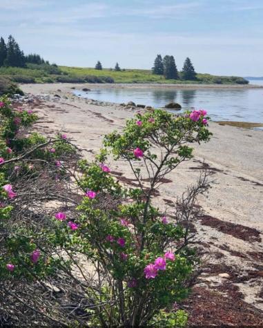 2 Bar Island Tremont ME 04612