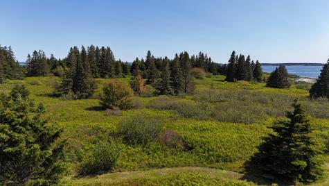 2 Bar Island Tremont ME 04612