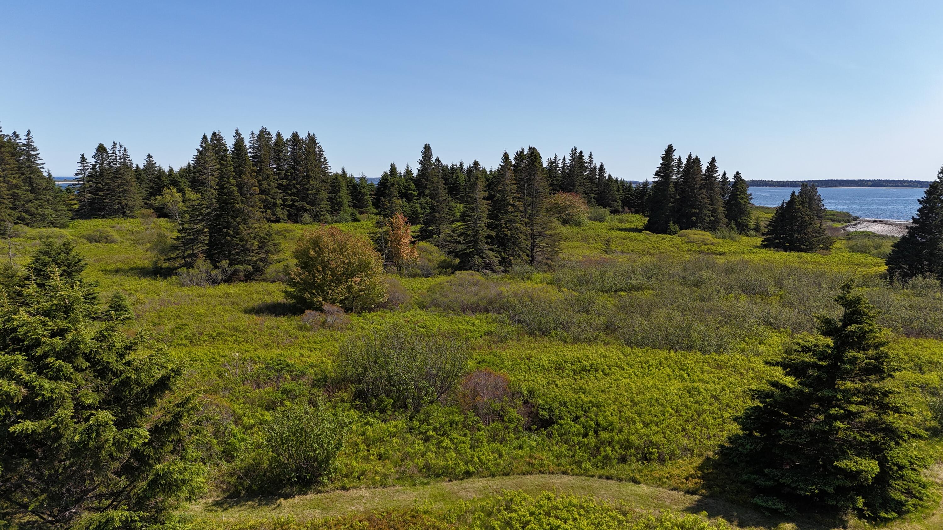 2 Bar Island Tremont ME 04612