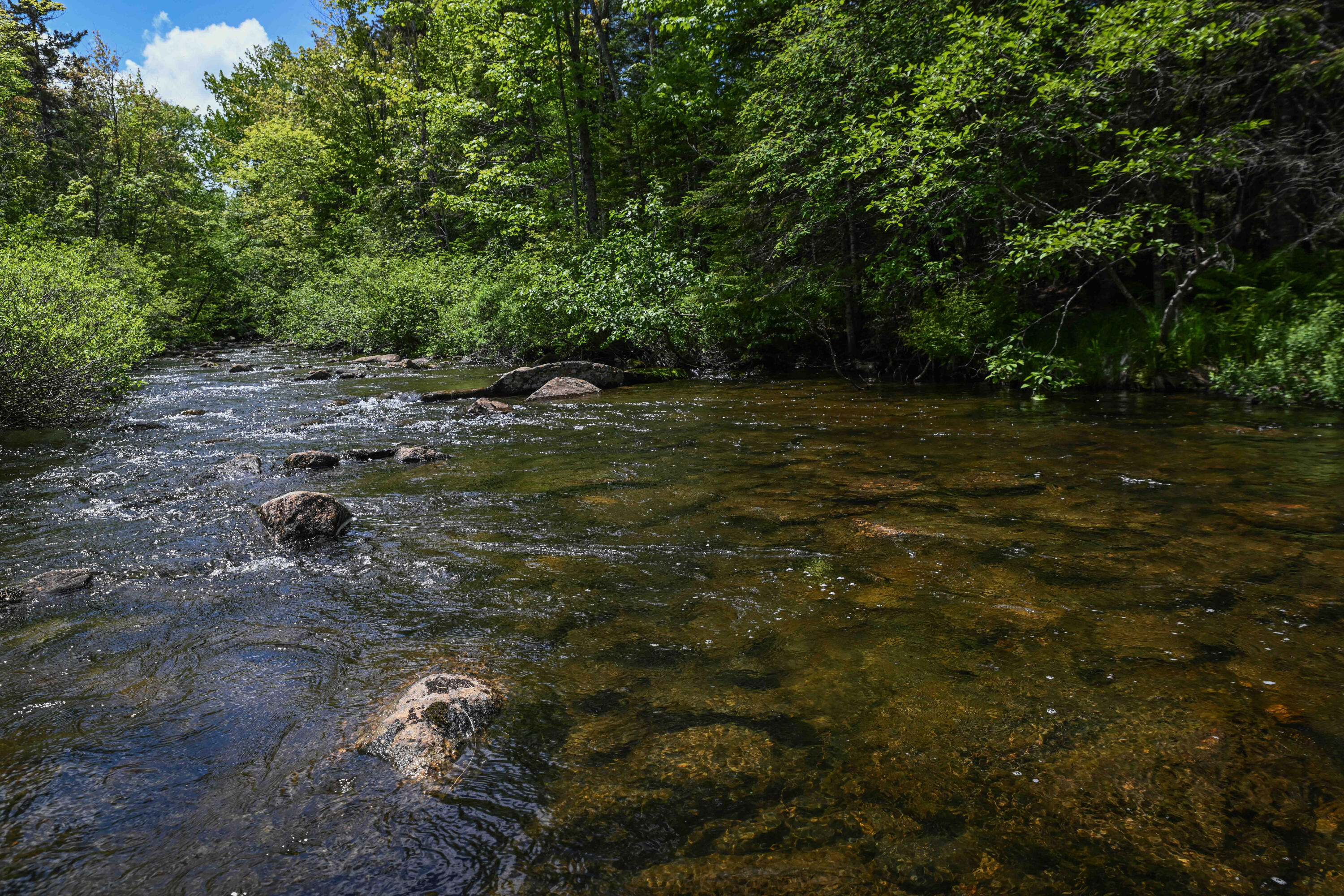 Tax Map 20 Beaver Mountain Road Sandy River Plt ME 04970