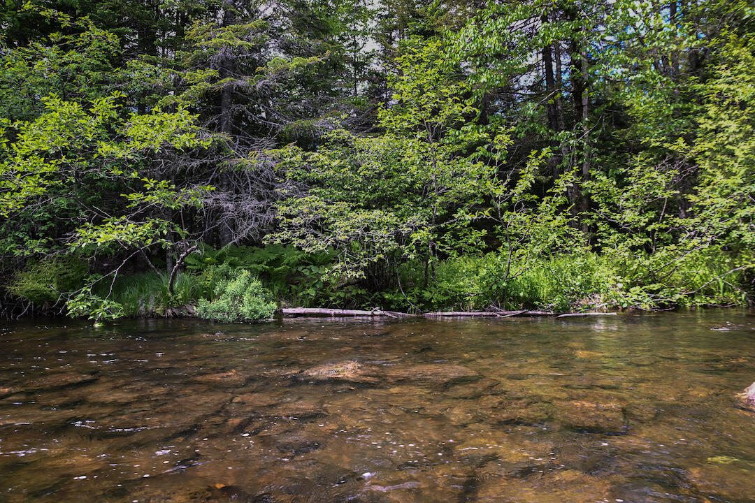 Tax Map 20 Beaver Mountain Road Sandy River Plt ME 04970