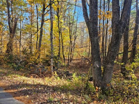 Lot #013 Staples Road Newfield ME 04095