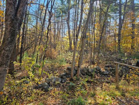 Lot #013 Staples Road Newfield ME 04095