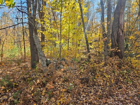 Lot #013 Staples Road Newfield ME 04095