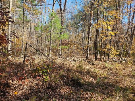 Lot #013 Staples Road Newfield ME 04095