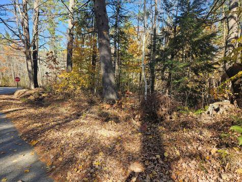 Lot #013 Staples Road Newfield ME 04095