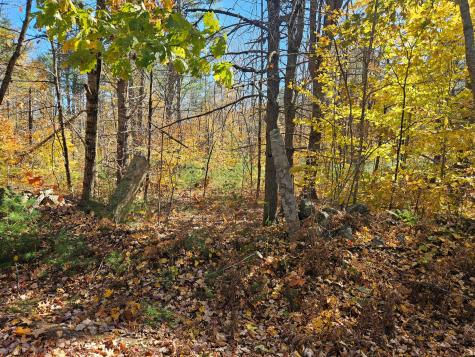 Lot #013 Staples Road Newfield ME 04095