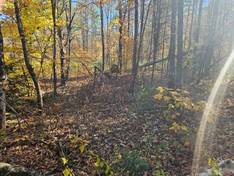 Lot #013 Staples Road Newfield ME 04095