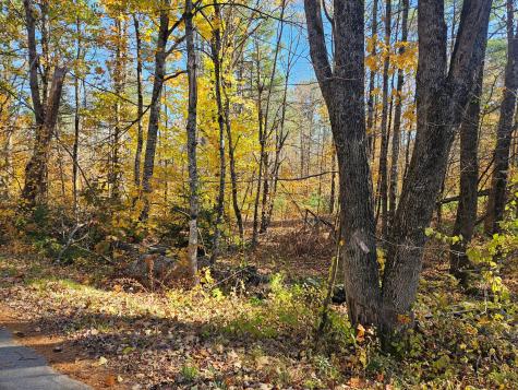 Lot #013 Staples Road Newfield ME 04095