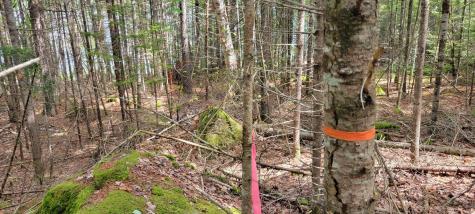 Map2lot 20 South Bay Road Franklin ME 04634